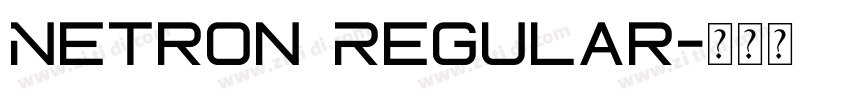 Netron Regular字体转换